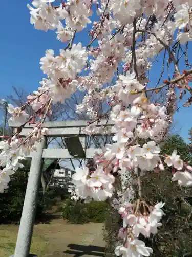 境香取神社の自然