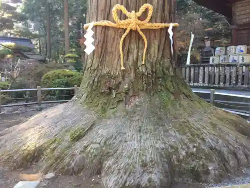 北口本宮冨士浅間神社の自然