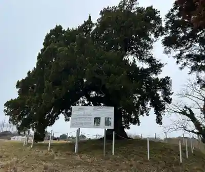 木幡神社の{uncategorized: "未分類", other: "その他", undefined: "問題あり", building: "その他建物", grave: "お墓", sacred_gate: "鳥居", guardian: "狛犬", statue: "像", buddha: "仏像", history: "歴史", nature: "自然", garden: "庭園", animal: "動物", pagoda: "塔", temizu: "手水舎", mountain_gate: "山門・神門", sanctuary: "本殿・本堂", subordinate: "末社・摂社", art: "芸術", scenery: "景色", jizo: "地蔵", ema: "絵馬", goshuin: "御朱印", omikuji: "おみくじ", items: "授与品その他", amulet: "お守り", goshuincho: "御朱印帳", eats: "食事", festival: "お祭り", votive_dance: "神楽", shichigosan: "七五三参", wedding: "結婚式", experience: "体験その他", initially: "初詣", around: "周辺", anti_infection: "感染症対策"}