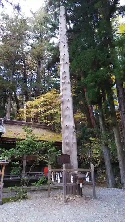 諏訪大社下社春宮(長野県)