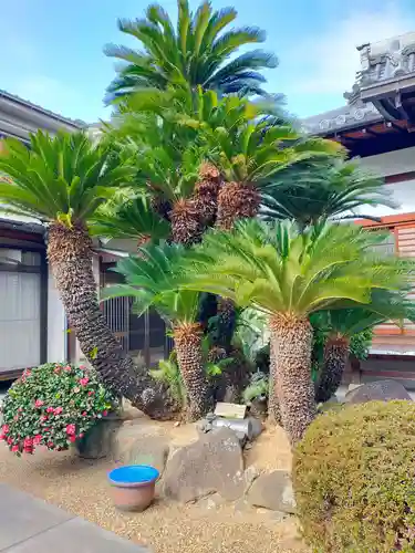 西願寺(大阪府)