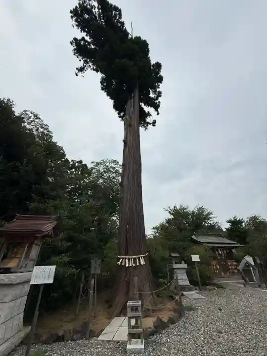 鶴峯八幡宮(千葉県)