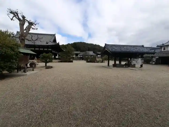 叡福寺の{uncategorized: "未分類", other: "その他", undefined: "問題あり", building: "その他建物", grave: "お墓", sacred_gate: "鳥居", guardian: "狛犬", statue: "像", buddha: "仏像", history: "歴史", nature: "自然", garden: "庭園", animal: "動物", pagoda: "塔", temizu: "手水舎", mountain_gate: "山門・神門", sanctuary: "本殿・本堂", subordinate: "末社・摂社", art: "芸術", scenery: "景色", jizo: "地蔵", ema: "絵馬", goshuin: "御朱印", omikuji: "おみくじ", items: "授与品その他", amulet: "お守り", goshuincho: "御朱印帳", eats: "食事", festival: "お祭り", votive_dance: "神楽", shichigosan: "七五三参", wedding: "結婚式", experience: "体験その他", initially: "初詣", around: "周辺", anti_infection: "感染症対策"}