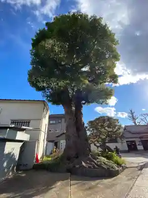 観音寺(東京都)
