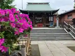 小村井 香取神社(東京都)