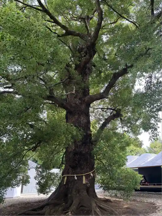 上野東照宮(東京都)