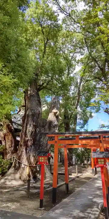 神田天満宮(大阪府)