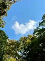 大和神社(奈良県)