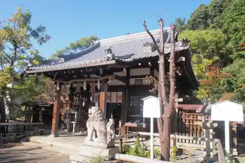 新熊野神社の本殿・本堂