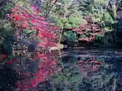 伊勢神宮内宮（皇大神宮）の庭園