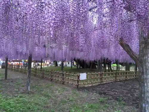 玉敷神社の庭園