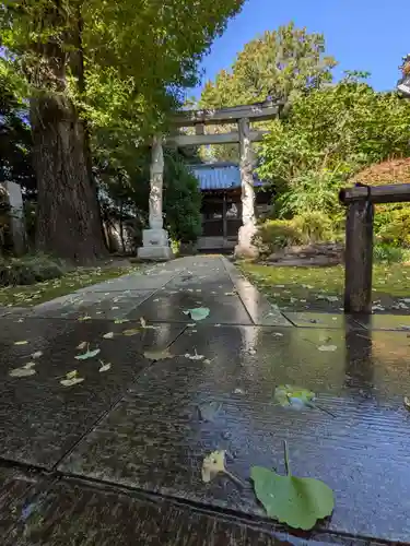 高円寺(東京都)