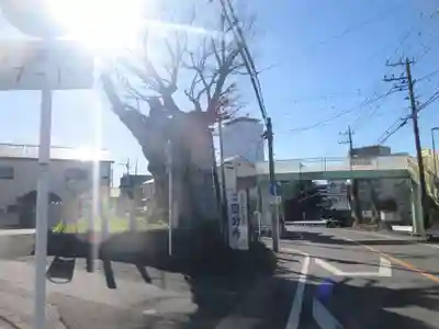 国分寺（相模國分寺）(神奈川県)