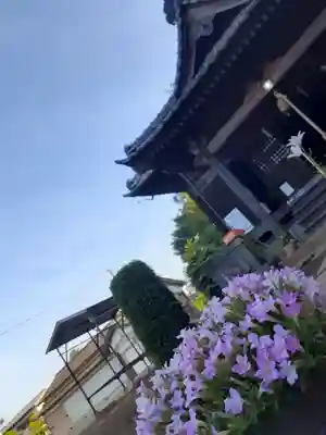 伏木香取神社(茨城県)