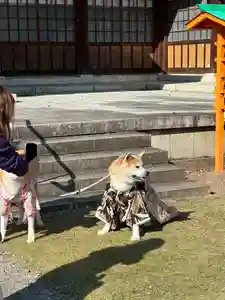 群馬県護国神社(群馬県)(2025年11月16日(日) 20時00分13秒投稿)