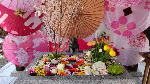 札幌諏訪神社の手水舎