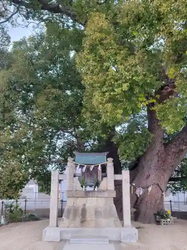 加多寺跡(愛媛県)