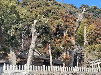 高祖神社のその他建物