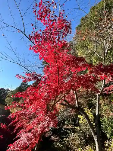 善水寺(滋賀県)