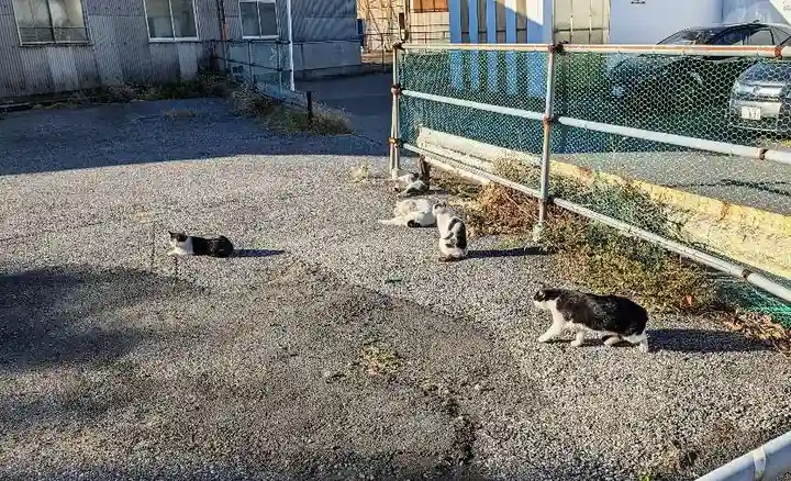 櫻木神社の動物