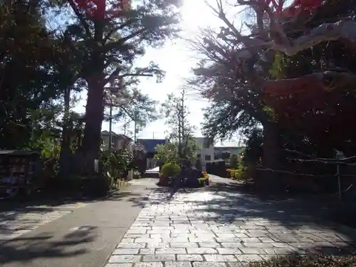 舊城寺(旧城寺)の庭園