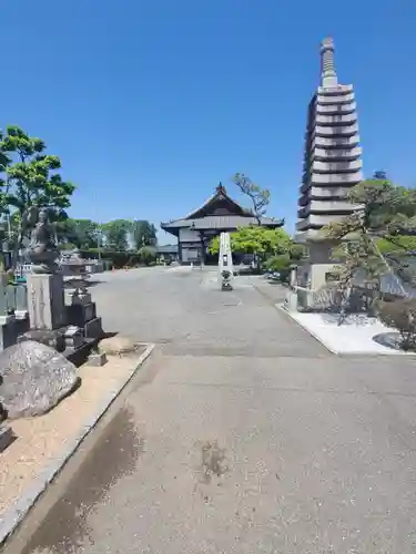 大信寺のその他建物