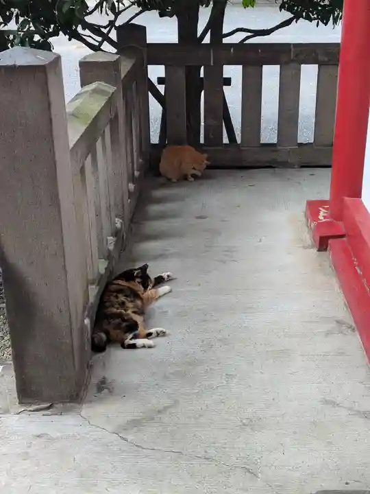 太宗寺(東京都)