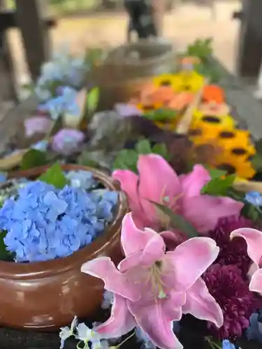 札幌護國神社の手水舎