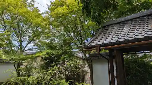 金福寺の山門