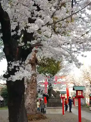 鷲宮神社のその他建物