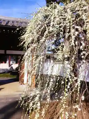 圓照寺(東京都)