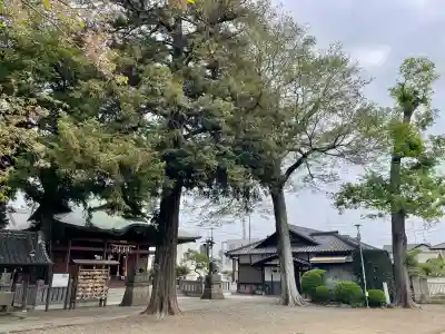 本宿天神社の{uncategorized: "未分類", other: "その他", undefined: "問題あり", building: "その他建物", grave: "お墓", sacred_gate: "鳥居", guardian: "狛犬", statue: "像", buddha: "仏像", history: "歴史", nature: "自然", garden: "庭園", animal: "動物", pagoda: "塔", temizu: "手水舎", mountain_gate: "山門・神門", sanctuary: "本殿・本堂", subordinate: "末社・摂社", art: "芸術", scenery: "景色", jizo: "地蔵", ema: "絵馬", goshuin: "御朱印", omikuji: "おみくじ", items: "授与品その他", amulet: "お守り", goshuincho: "御朱印帳", eats: "食事", festival: "お祭り", votive_dance: "神楽", shichigosan: "七五三参", wedding: "結婚式", experience: "体験その他", initially: "初詣", around: "周辺", anti_infection: "感染症対策"}