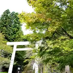 土津神社｜こどもと出世の神さまの鳥居