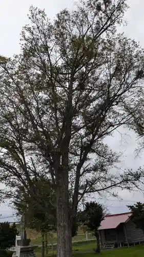 山形神社の自然