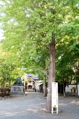 星置神社(北海道)