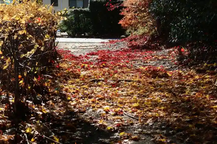 滑川神社 - 仕事と子どもの守り神の自然