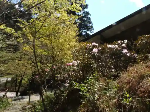 横蔵寺(岐阜県)