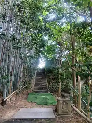桃巌寺(愛知県)
