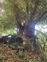 熊野神社の自然
