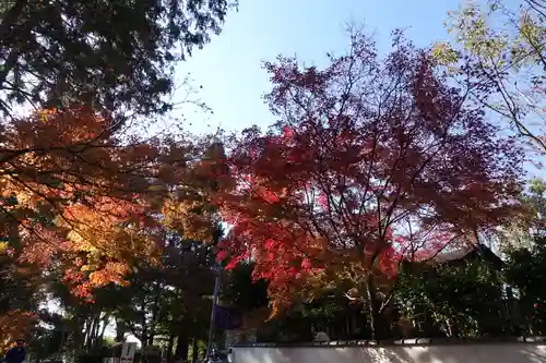 東福禅寺（東福寺）の景色