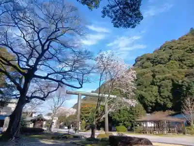 岐阜護國神社(岐阜県)