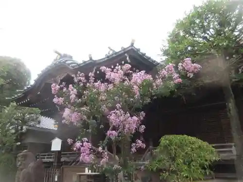 白山神社(東京都)