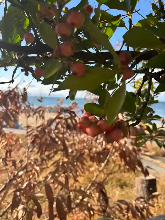 八雲神社(兵庫県)
