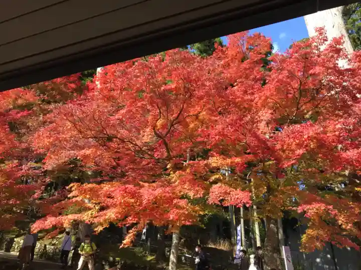 比叡山延暦寺の自然