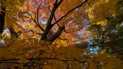 東福禅寺(東福寺)(京都府)