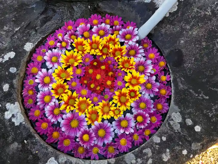 真言宗 善通寺派 薬王寺(香川県)