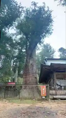 近津神社(茨城県)