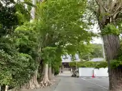 玉蔵院の建物その他