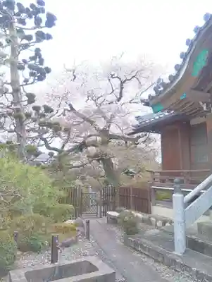 霊鷲院（曼陀羅寺塔頭）(愛知県)