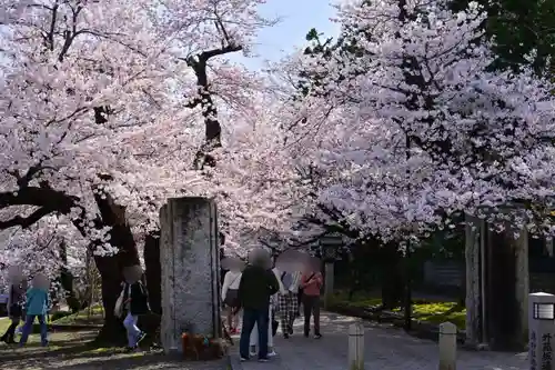 彌彦神社(新潟県)